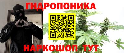 хмурый Кингисепп