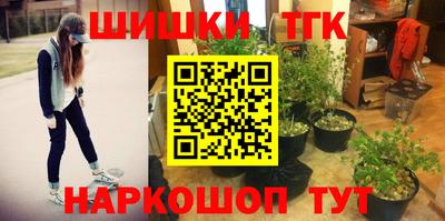хмурый Кингисепп