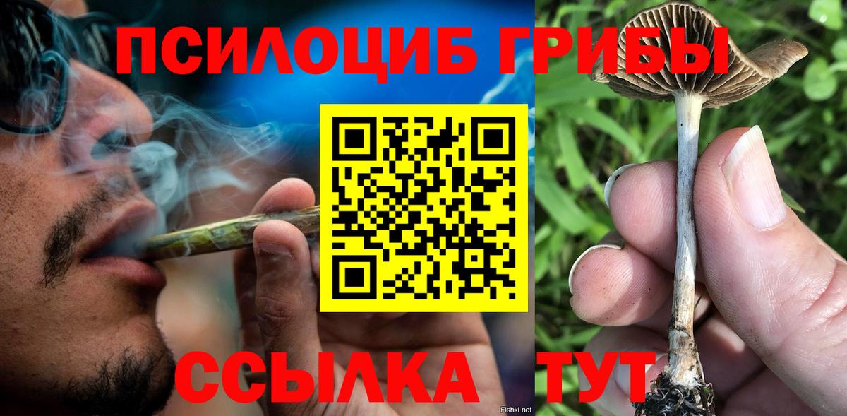 Южно-Сахалинск  Псилоцибиновые грибы мухоморы  Вход с VPN 