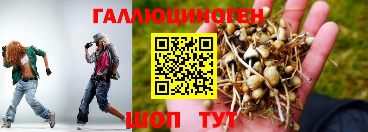 Галлюциногенные грибы Magic Shrooms Южно-Сахалинск